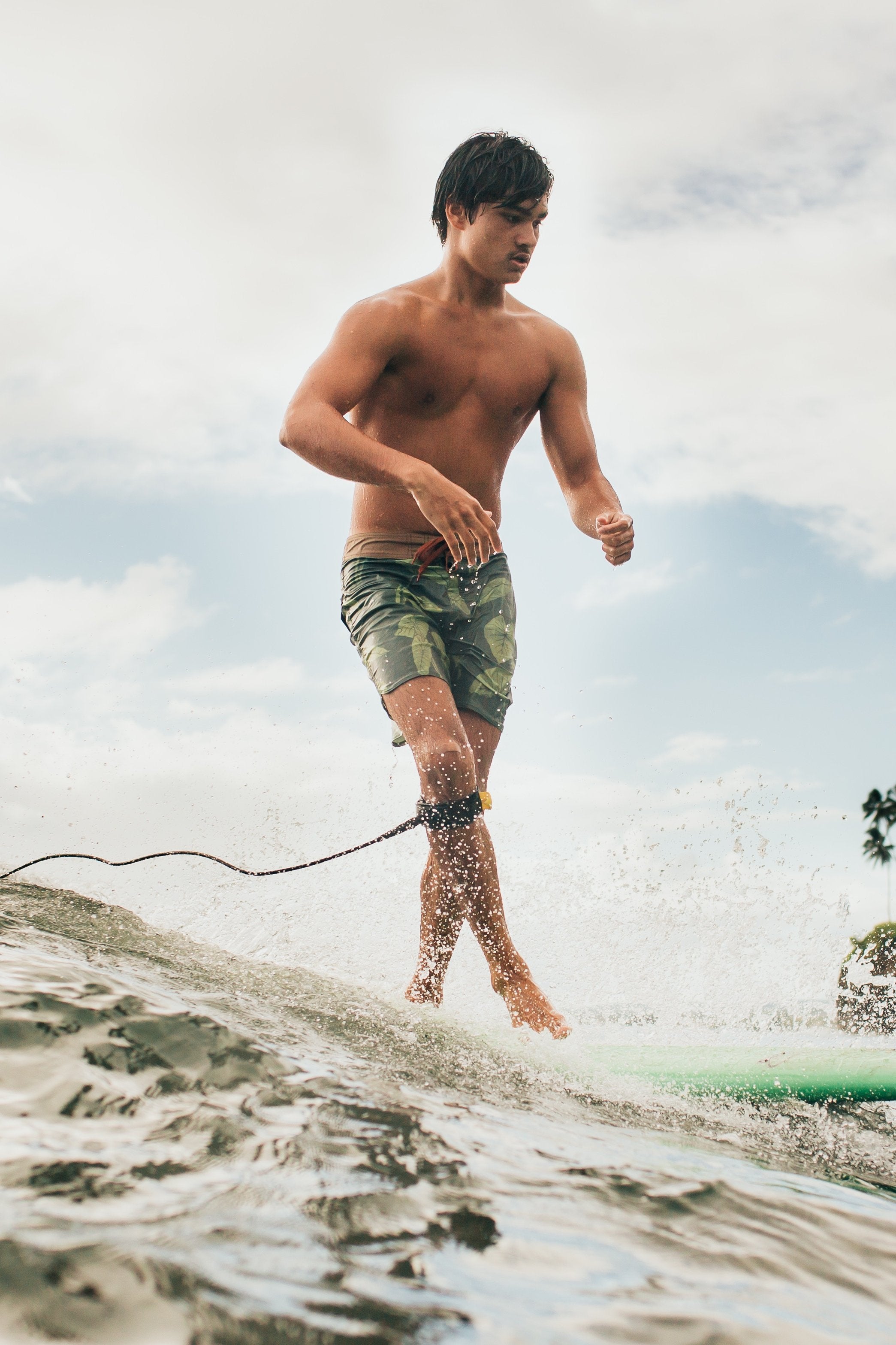 Palikū Surf – Sig Zane Designs