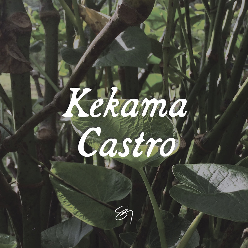 Mahina ʻŌlelo Hawaiʻi: Kekama Castro