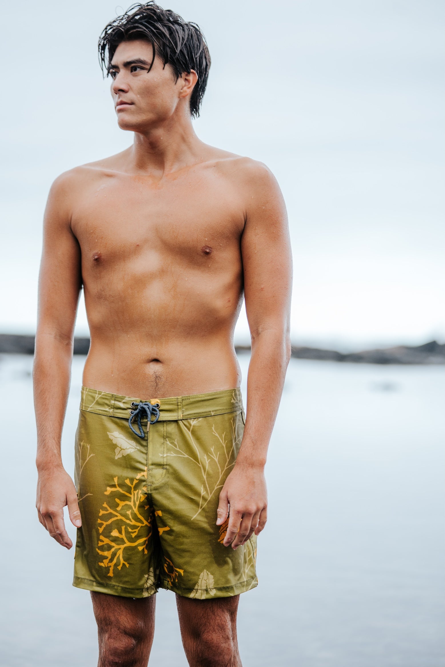 Limu Kaʻaipū Palikū Boardies- Olive