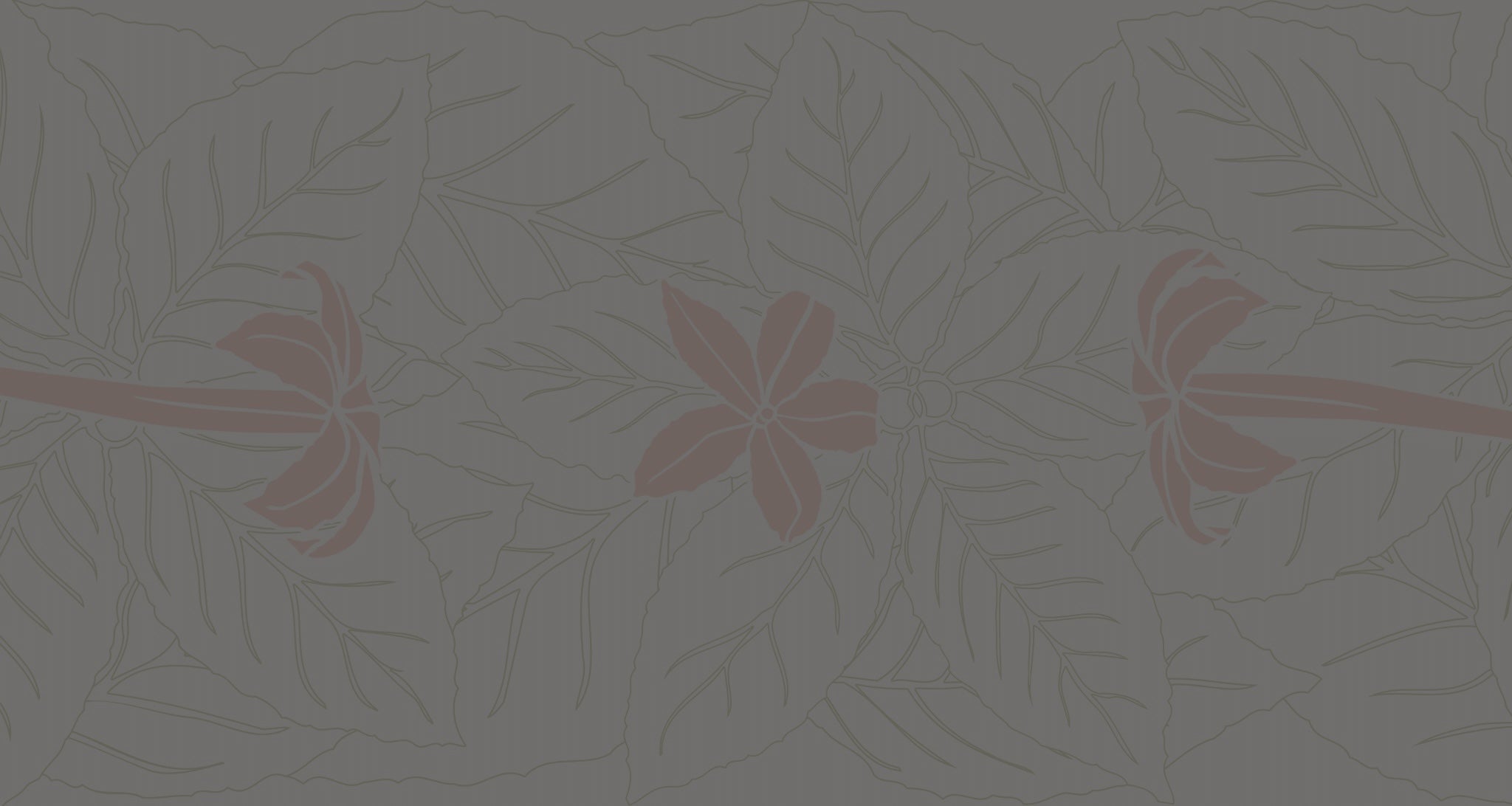 Sig Zane Designs