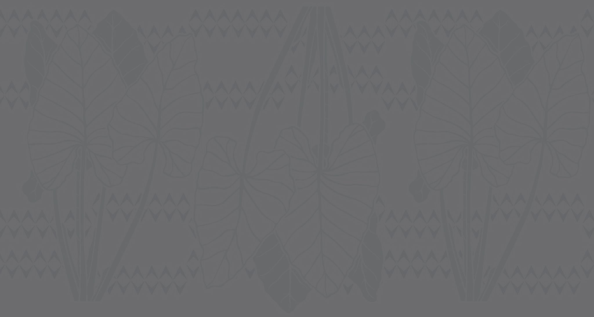 Sig Zane Designs